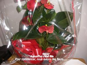 AOBR 2011 22 NOVEMBRE ANNIVERSAIRE D HESTER  (1)
